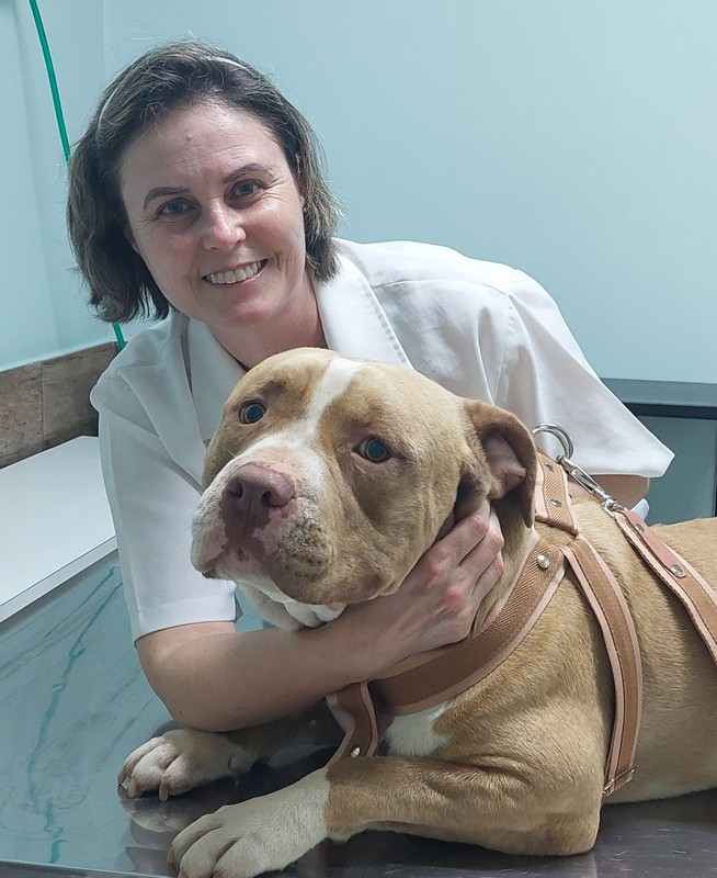 Consulta clinica veterinaria