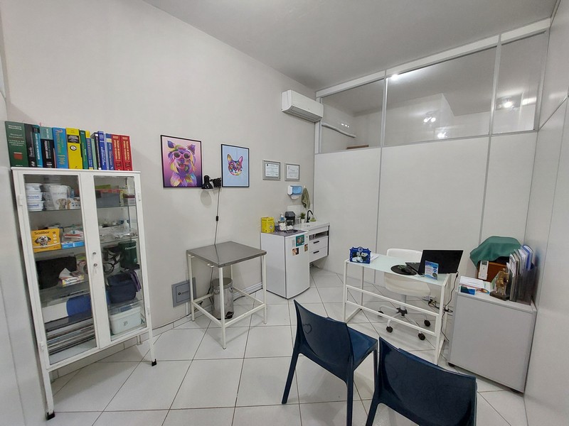 Endoscopia veterinária preço