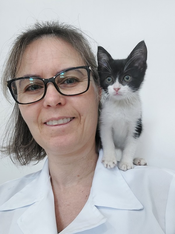 Vacina para gatos em Porto Alegre